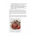 ANATOMIA II  